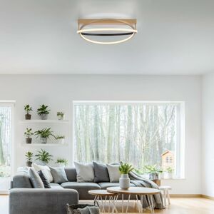 Q-Smart-Home Paul Neuhaus Q-Beluga LED stropní světlo, mosaz