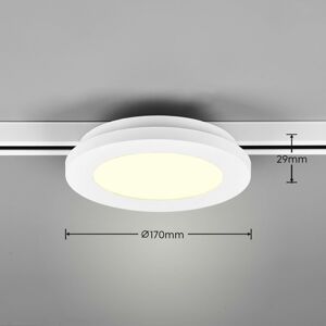 Trio Lighting LED stropní světlo Camillus DUOline, Ø 17 cm, bílá