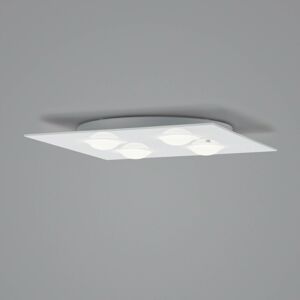 Helestra Helestra Nomi LED stropní světlo 38x38cm dim bílá