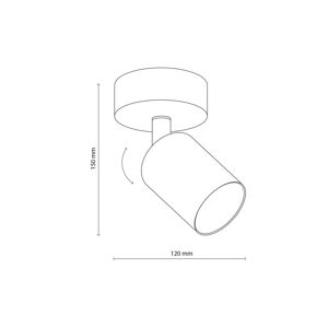 TK Lighting Stropní bodové svítidlo Top, nastavitelné, hnědé, jednoplamenné