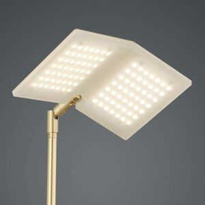 BANKAMP BANKAMP Book stojací lampa LED, mosaz